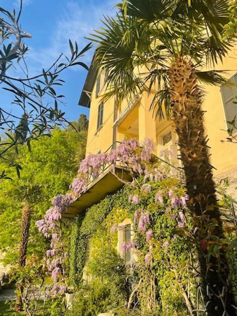 Villa Gina Варенна Экстерьер фото